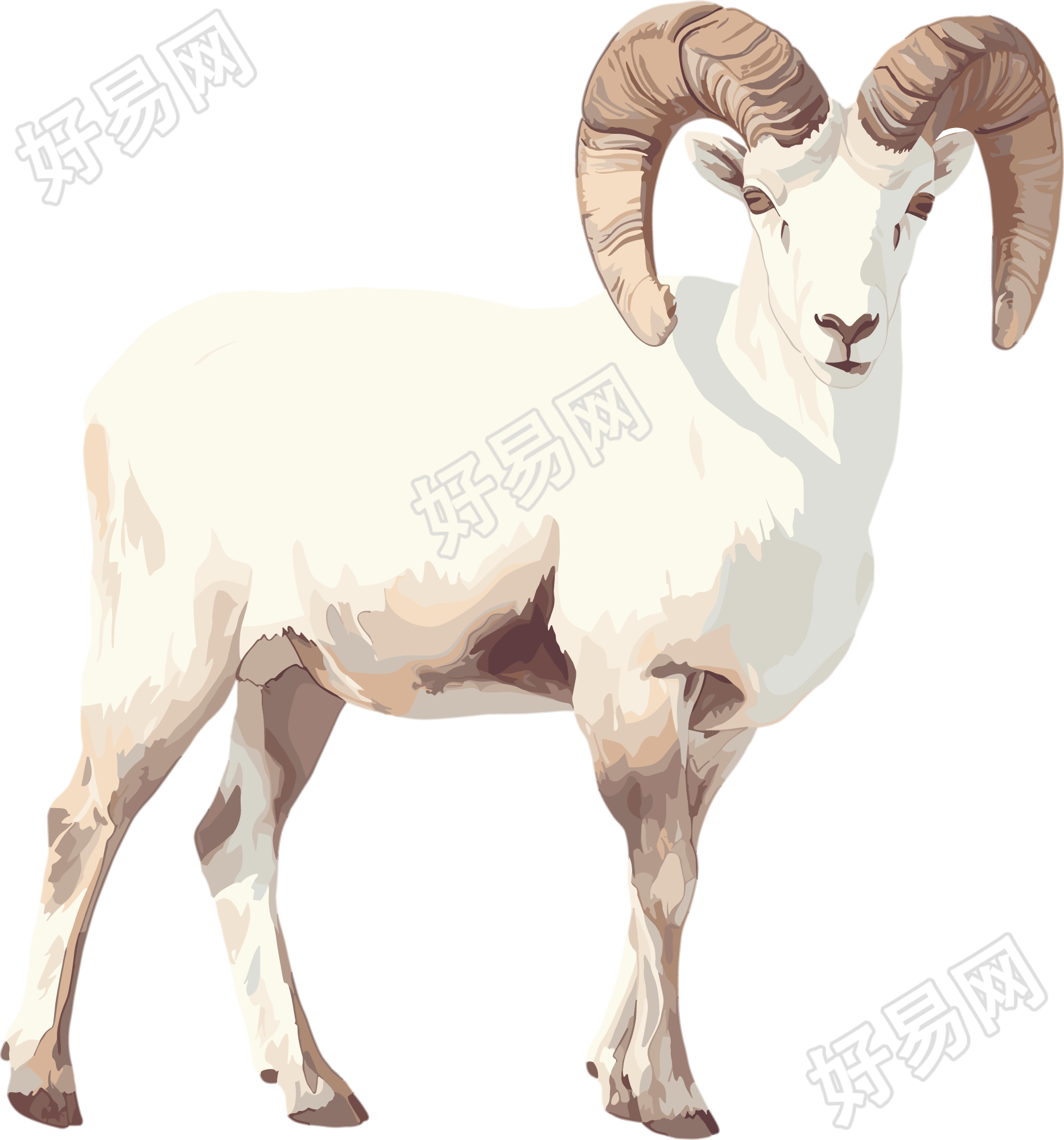 山羊珍稀动物插画设计