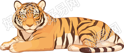 老虎珍稀动物插图