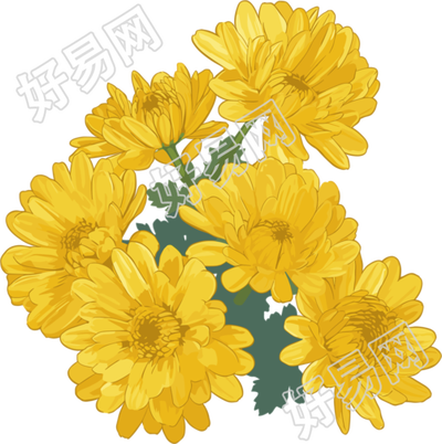 水彩菊花花束素材