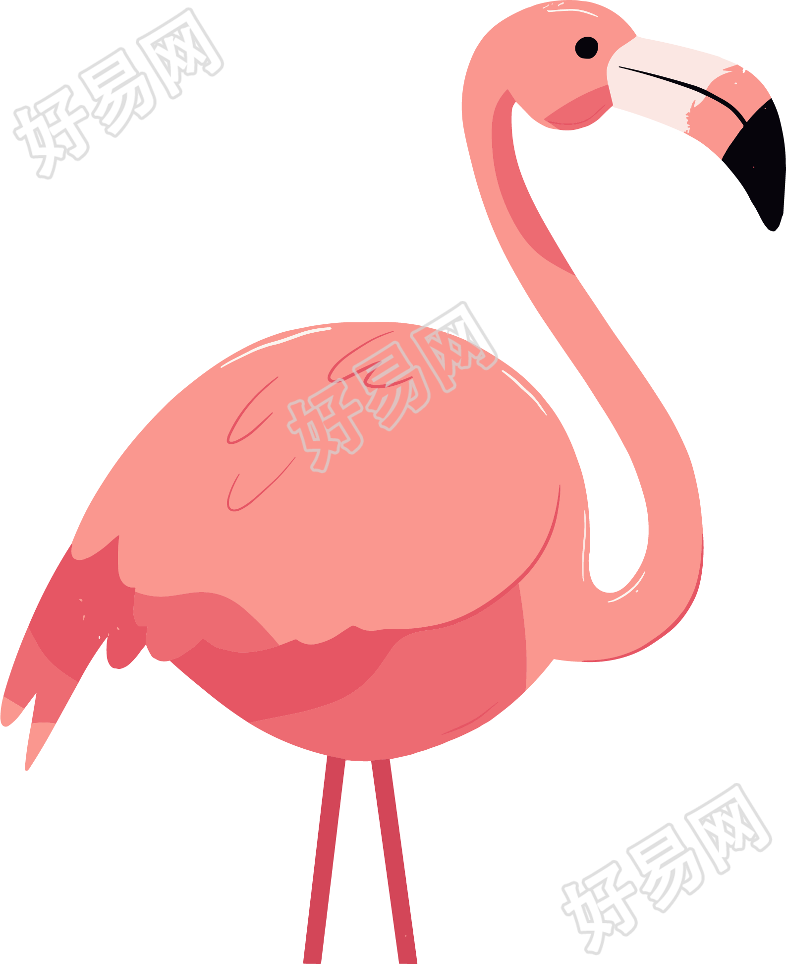 火烈鸟卡通插画