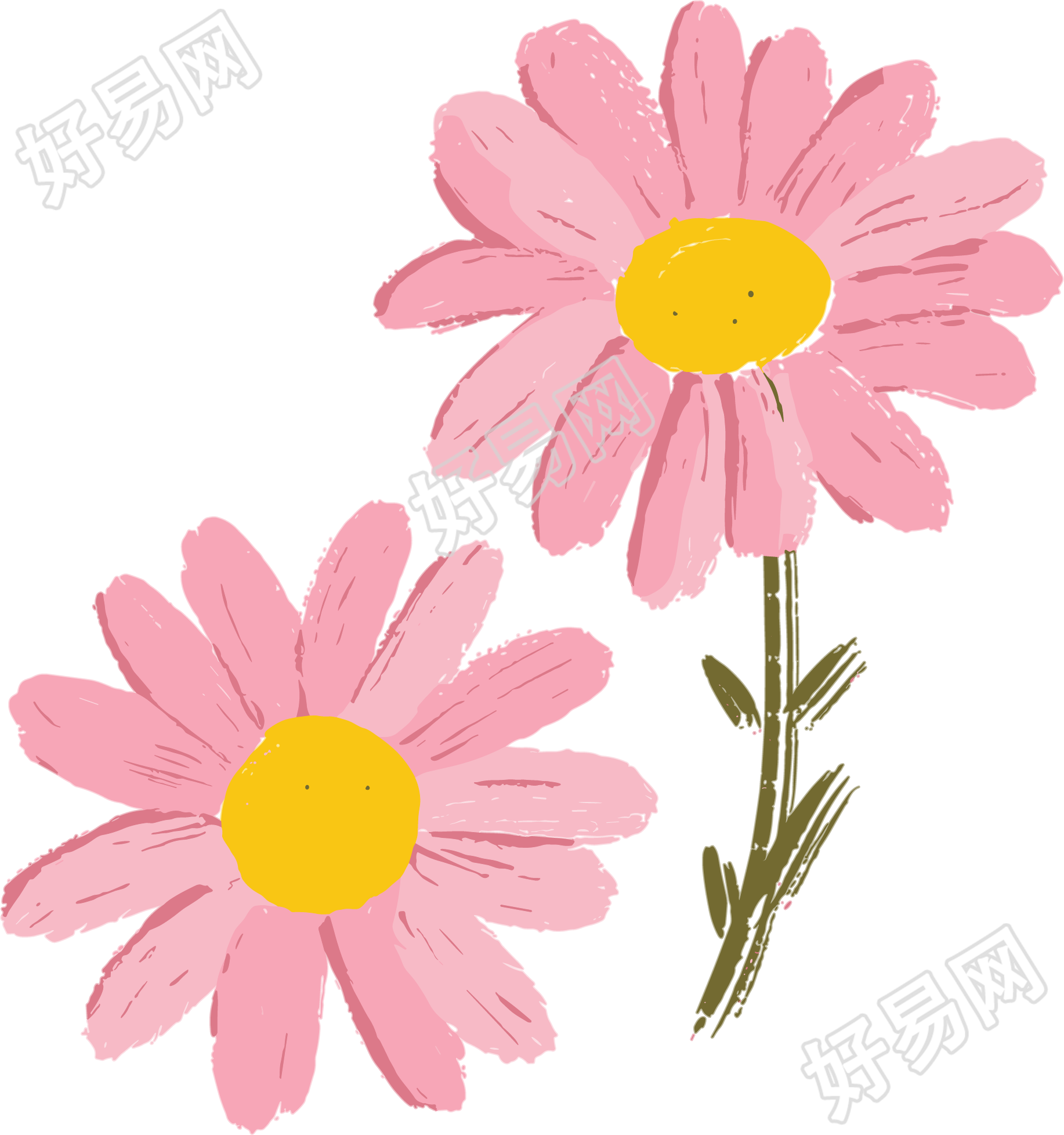 雏菊蜡笔画PNG元素
