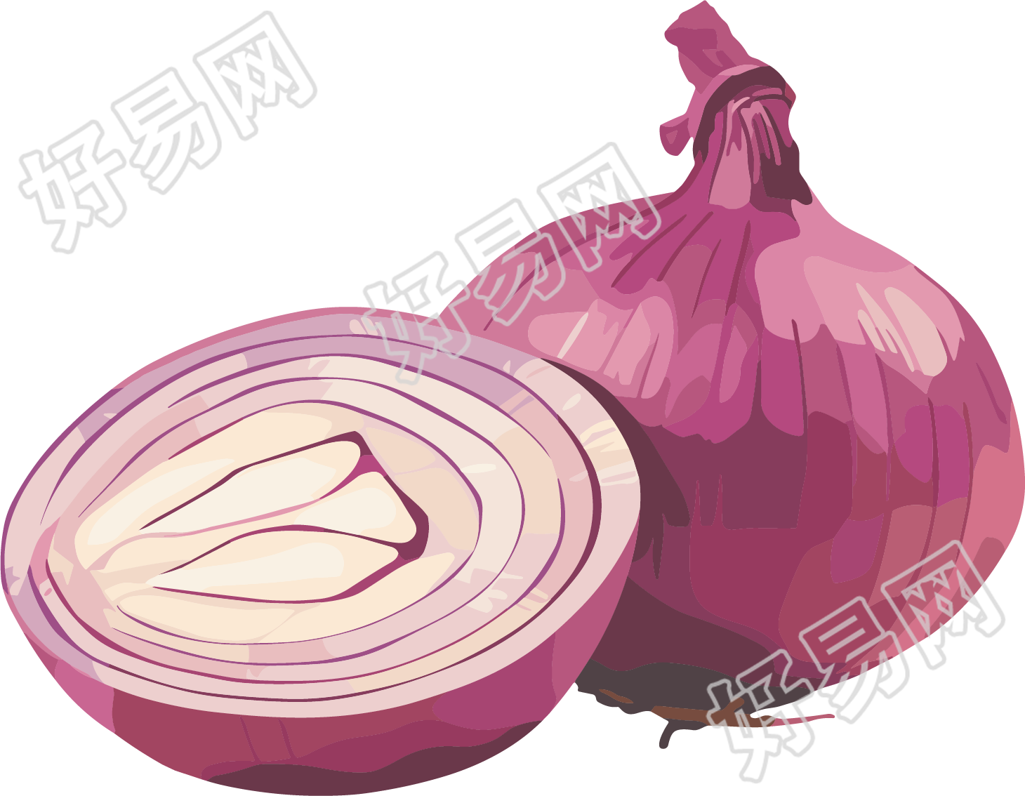 洋葱插图设计元素