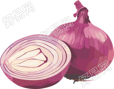 洋葱插图设计元素