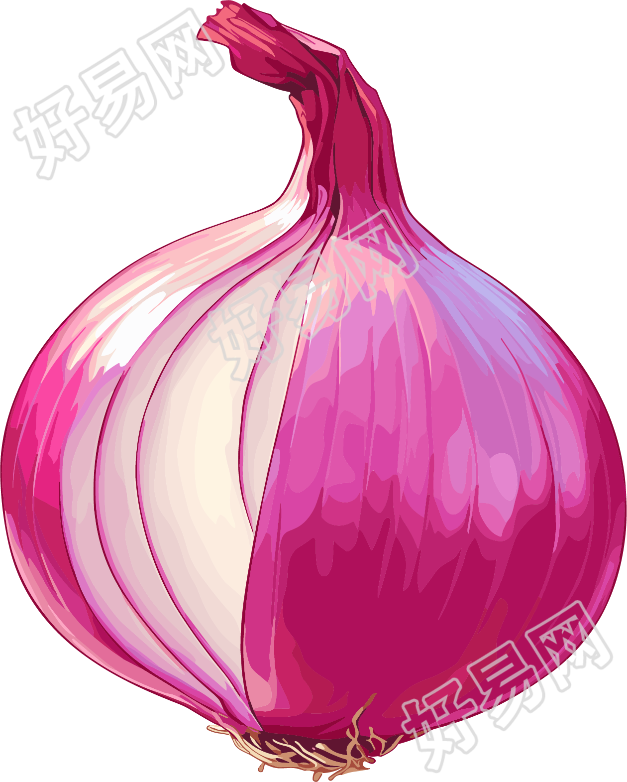 洋葱简约向量元素