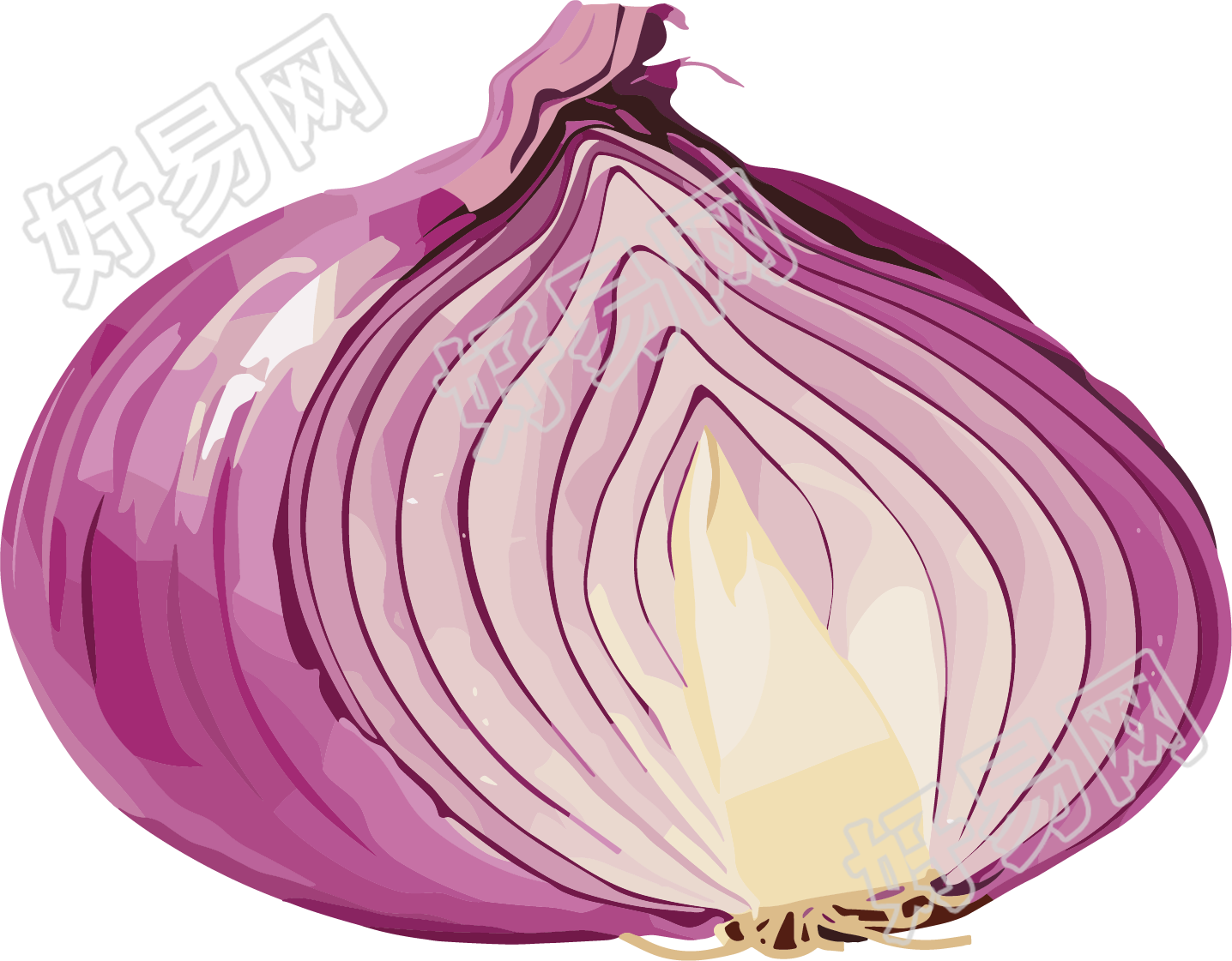 洋葱可商用插画