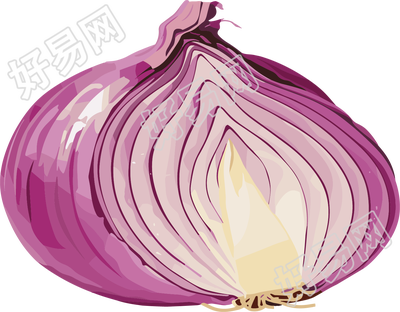 洋葱可商用插画