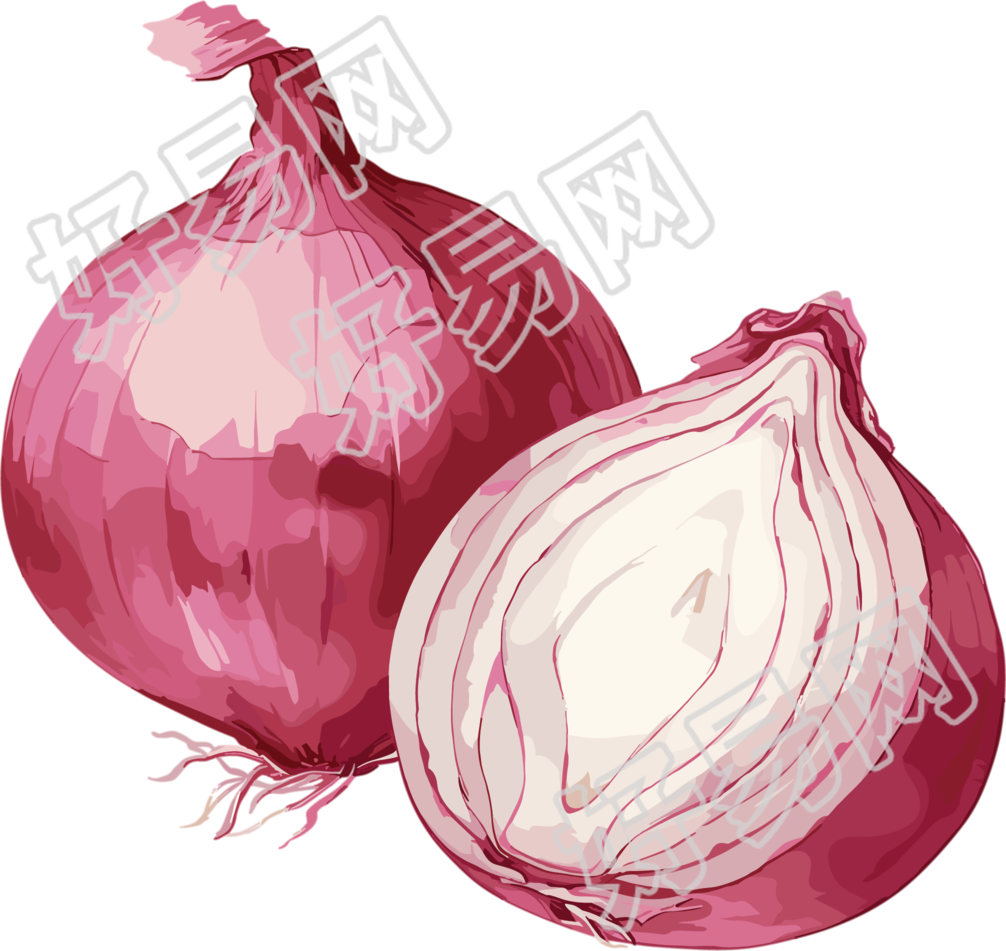 洋葱创意插图