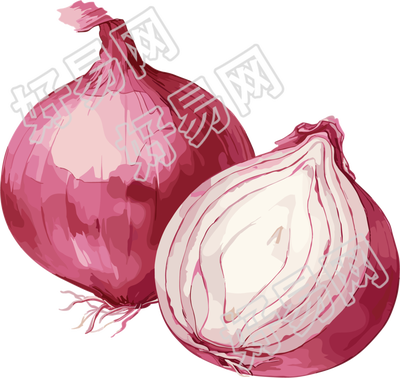 洋葱创意插图