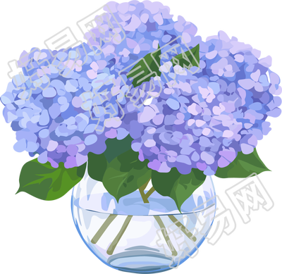 花瓶简约插画
