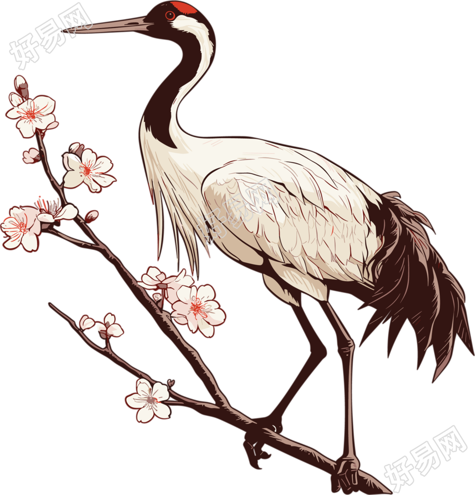 仙鹤梅花插画