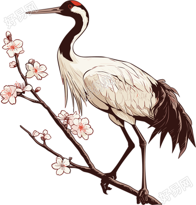 仙鹤梅花插画