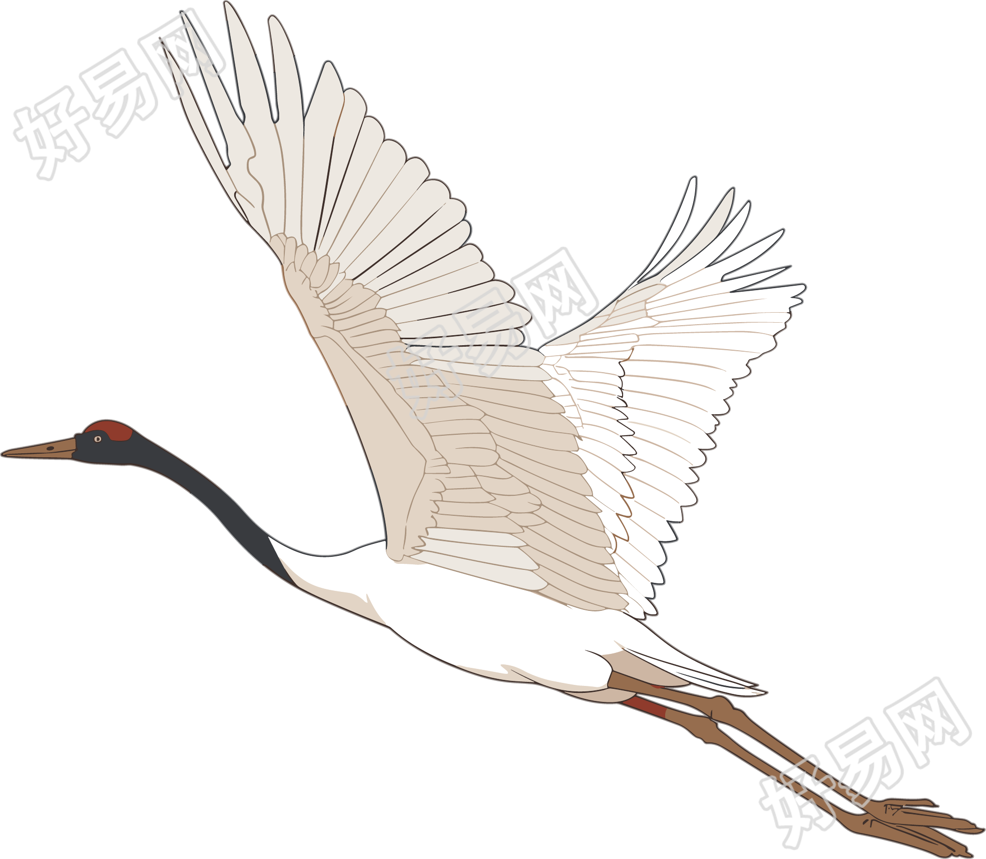 仙鹤商业设计元素