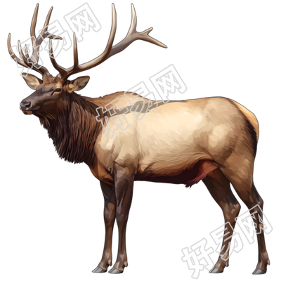 野生麋鹿珍稀动物PNG素材