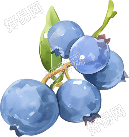 水彩蓝莓创意插画