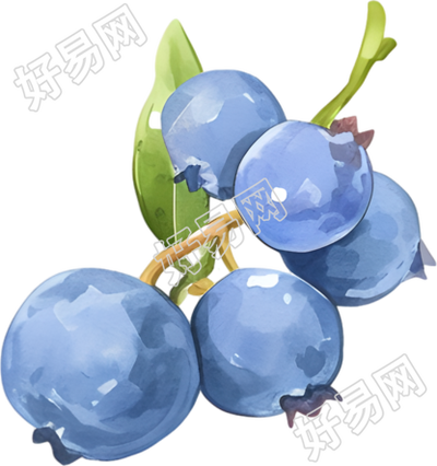 水彩蓝莓创意插画