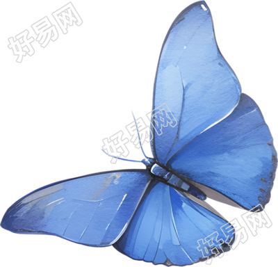 水彩蝴蝶蓝色插画