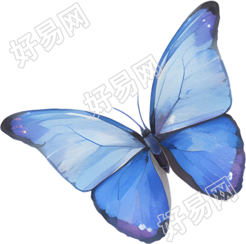 水彩蝴蝶极简插画