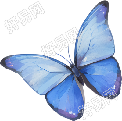 水彩蝴蝶极简插画