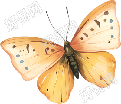 水彩蝴蝶精美素材