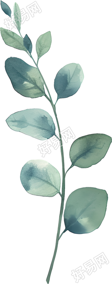 尤加利叶水彩元素