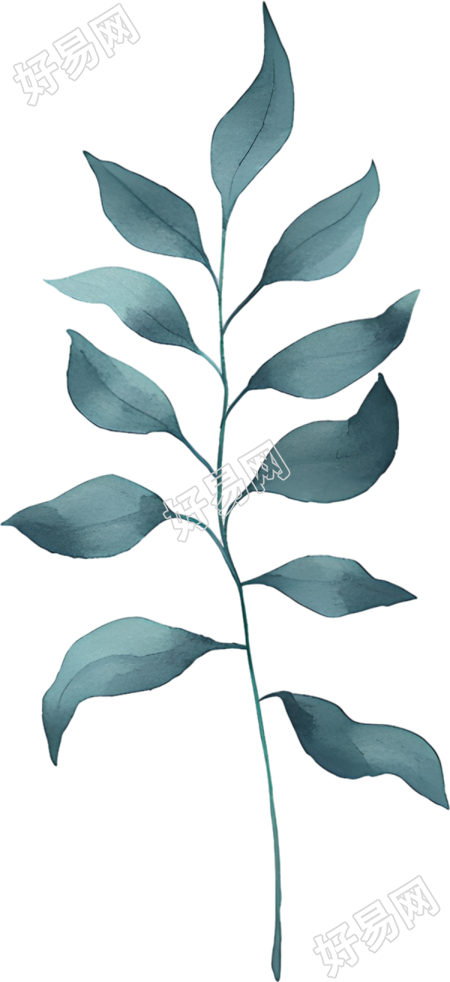 水彩叶片装饰元素