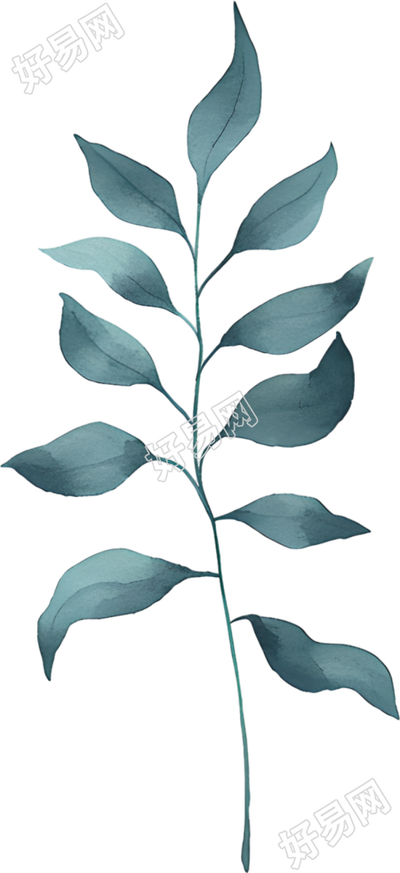 水彩叶片装饰元素