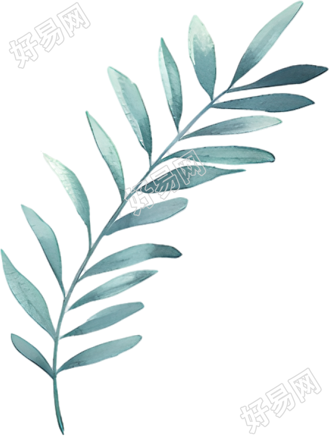 水彩叶子创意素材