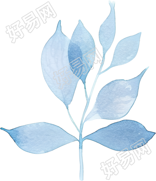 水彩叶子插画元素