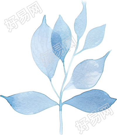 水彩叶子插画元素
