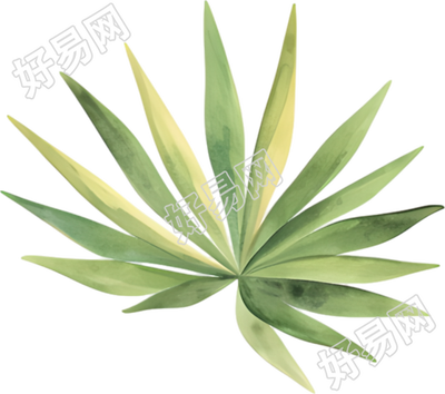 水彩叶子插图素材