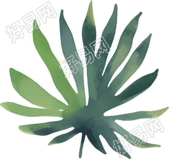 水彩叶子PNG素材