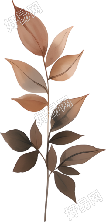 水彩叶子创意插画