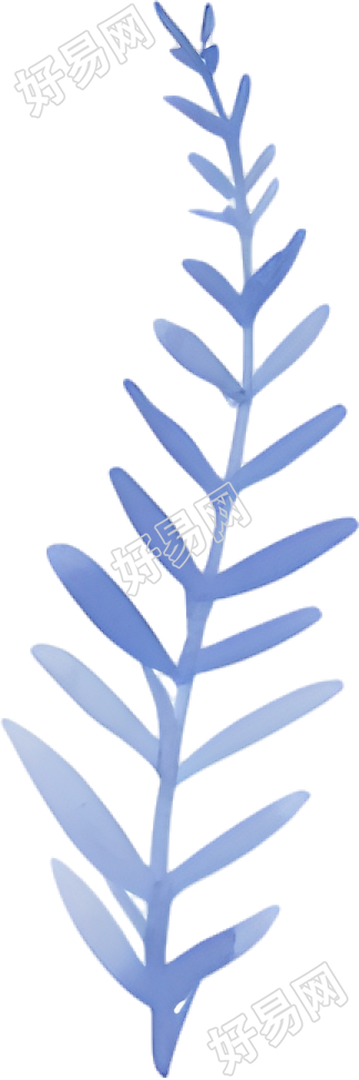 水彩叶子商用插画