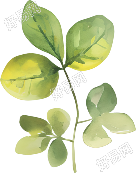 水彩叶子可商用元素