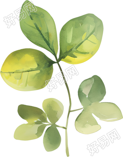 水彩叶子可商用元素