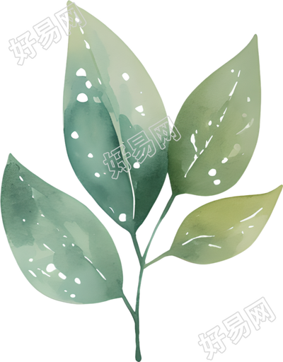 水彩叶子可商用插画