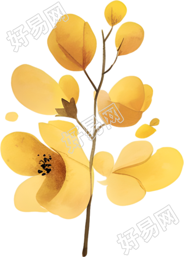 水彩小黄花插图