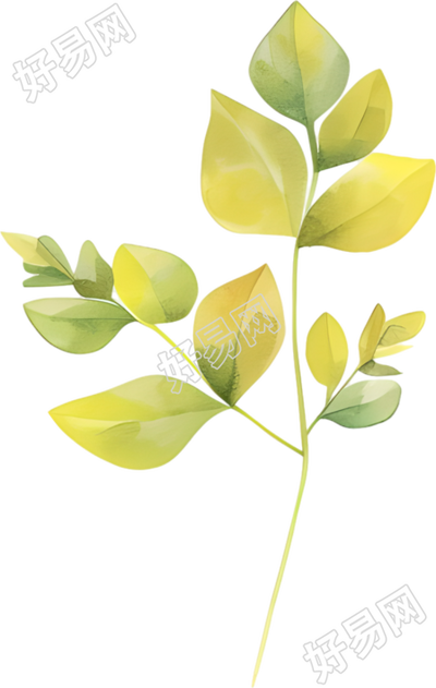 水彩植物装饰元素