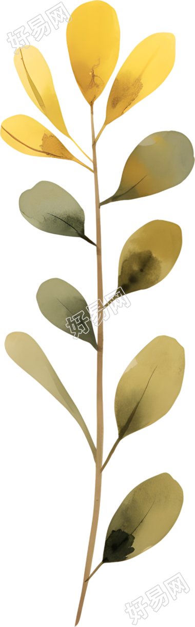 水彩植物装饰素材