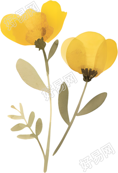 水彩小黄花装饰元素
