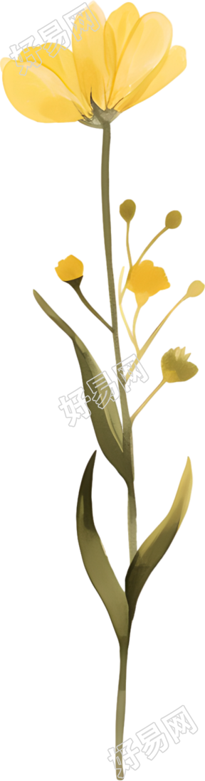 水彩小黄花装饰素材