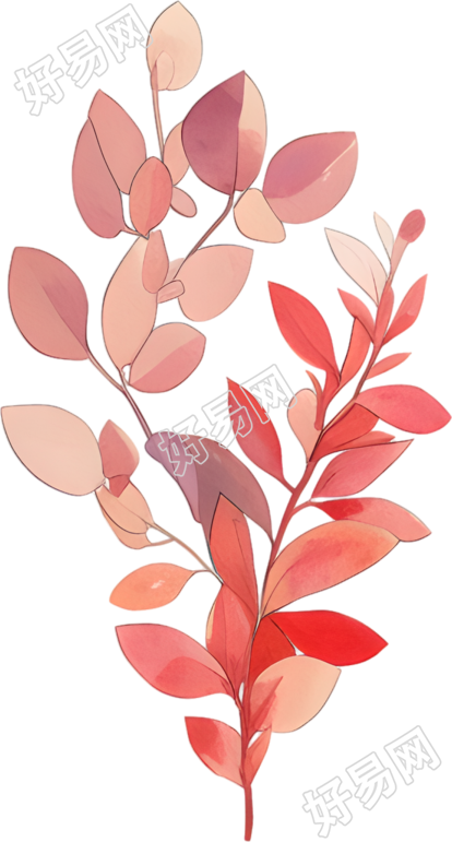 水彩植物创意插图