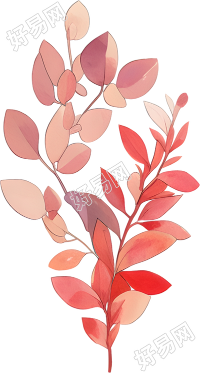 水彩植物创意插图