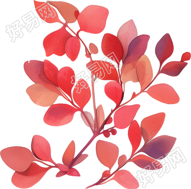 水彩植物高清元素