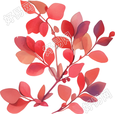 水彩植物高清元素