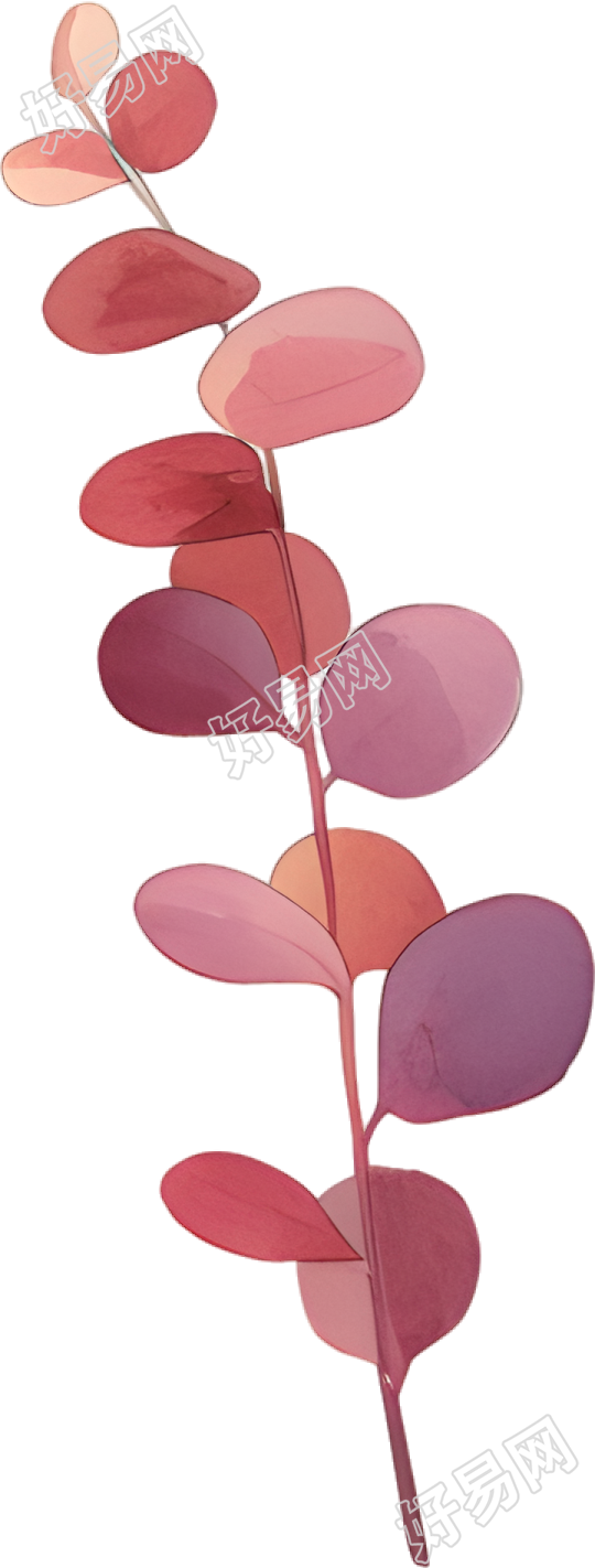 水彩植物高清插图