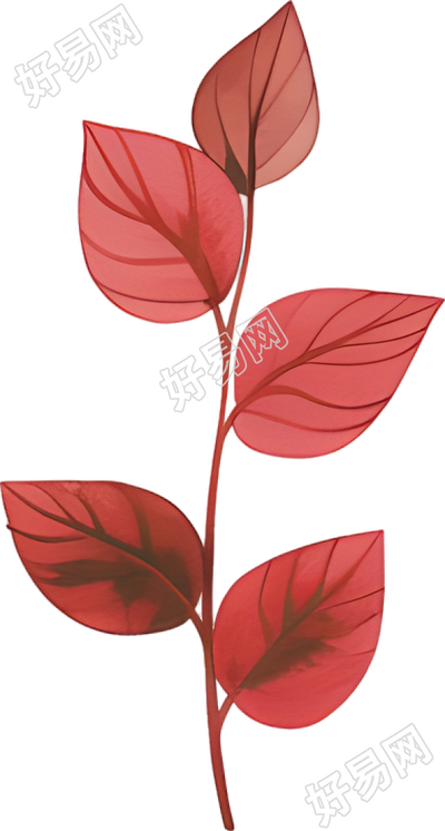 水彩植物可商用插画