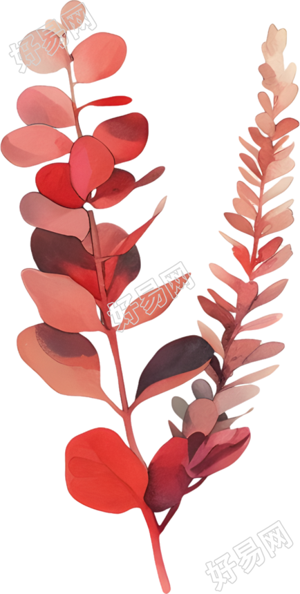 水彩植物可商用插图