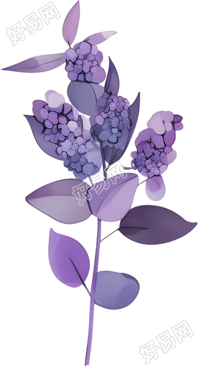 水彩植物PNG元素
