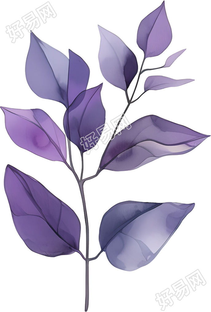 水彩植物PNG插画